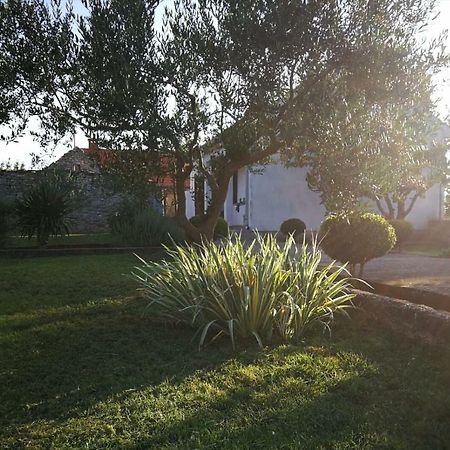 Kuca Za Odmor "Joso" Villa Puljane Exterior foto